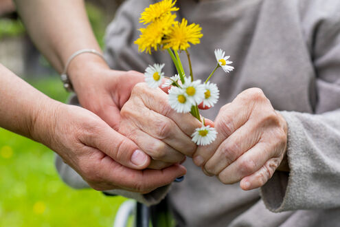 Hände eines älteren Menschen halten Strauß aus Löwenzahn und Gänseblumen, seine rechte Hand wird von den Händen einer weiteren Person gestützt
