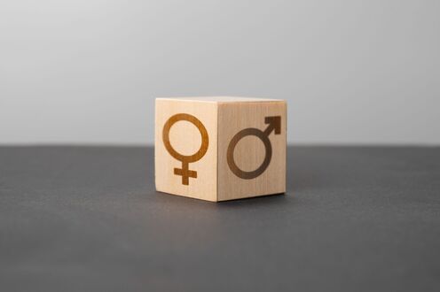 Holzwürfel mit Zeichen des männlichen und weiblichen Geschlechts